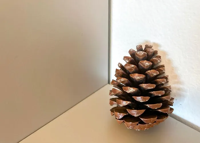 Seaside Bloom Retreat E72 * Golem (Tirana)